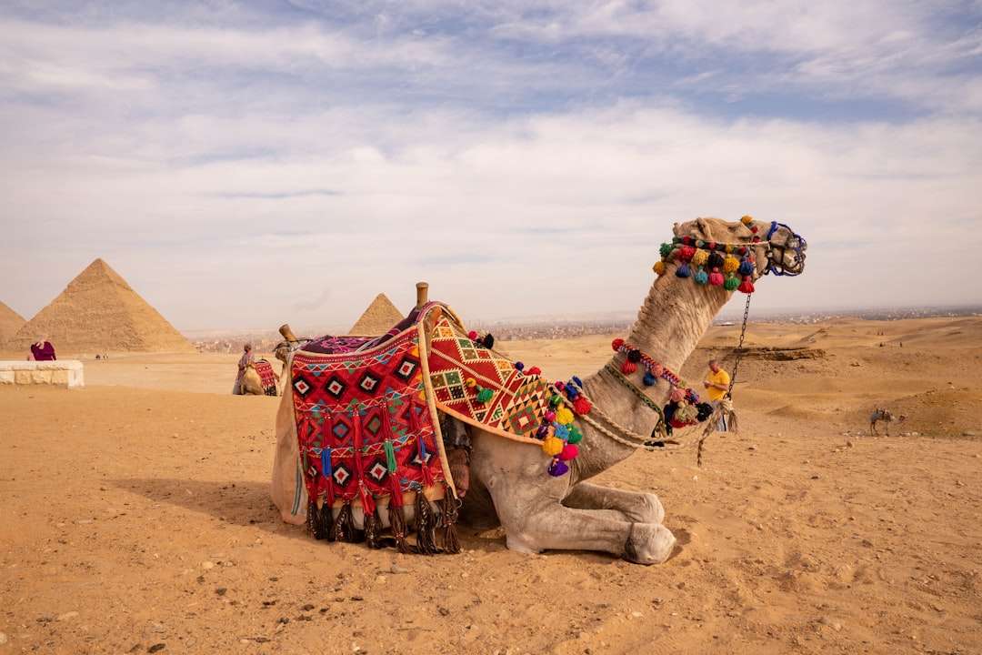How to Book Your Dream Egypt Trip