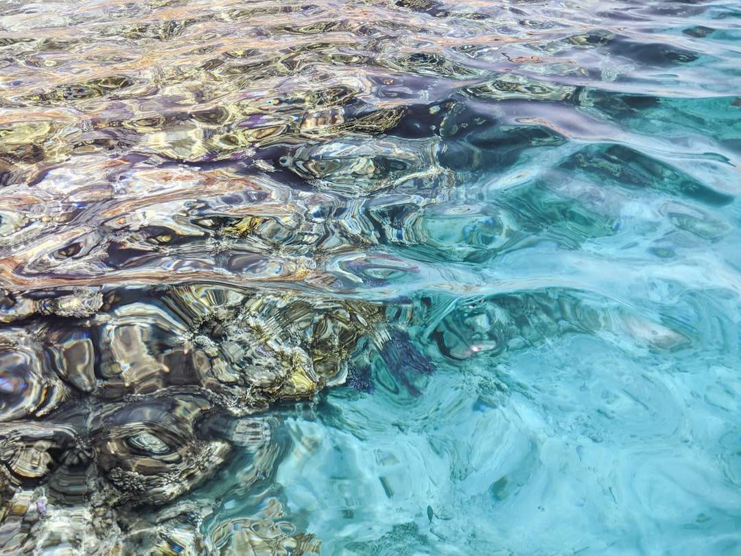 Top Dive Sites in Sharm El Sheikh